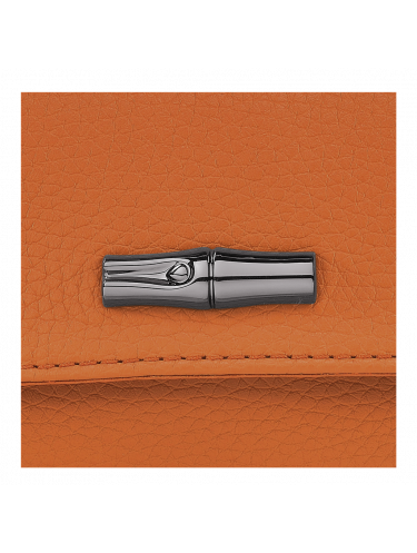 Longchamp 34067/968 - CUIR DE TAURILLON -  longchamp-roseau essential-sac rabat mini Sac porté travers